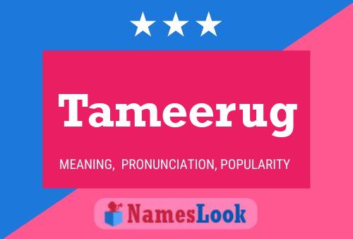 Постер имени Tameerug