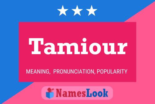 Постер имени Tamiour