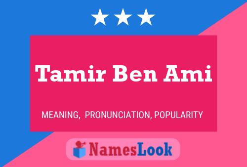 Постер имени Tamir Ben Ami