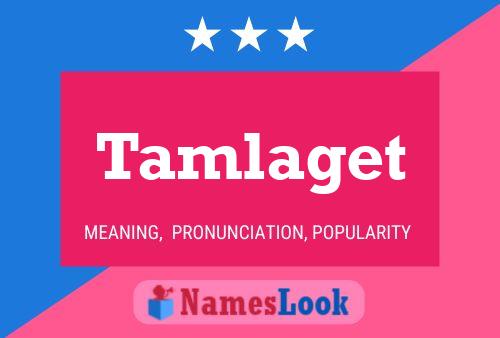 Постер имени Tamlaget