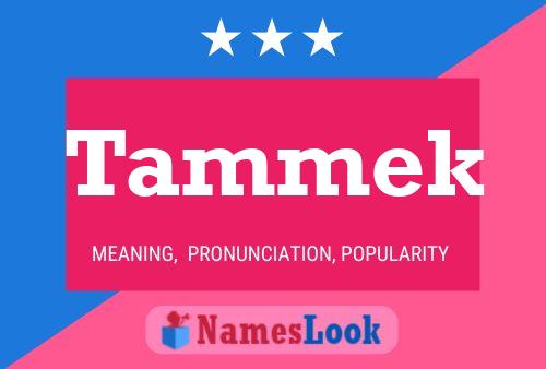 Постер имени Tammek