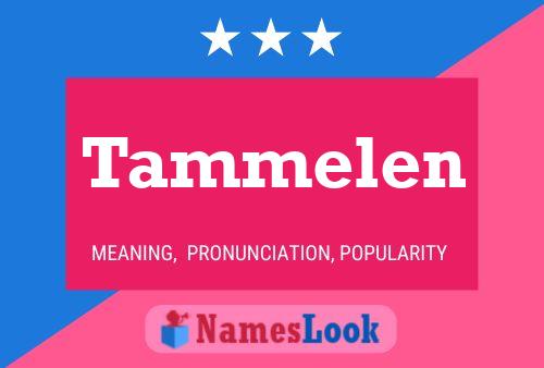 Постер имени Tammelen