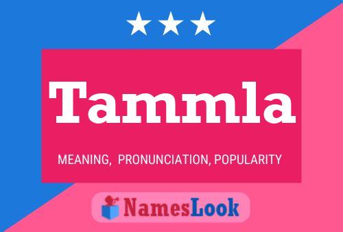 Постер имени Tammla