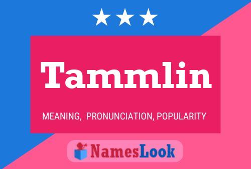 Постер имени Tammlin