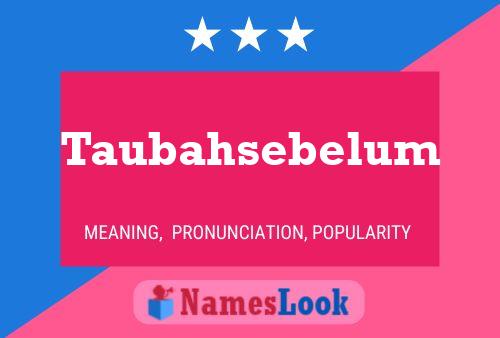 Постер имени Taubahsebelum