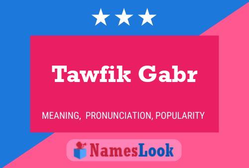 Постер имени Tawfik Gabr