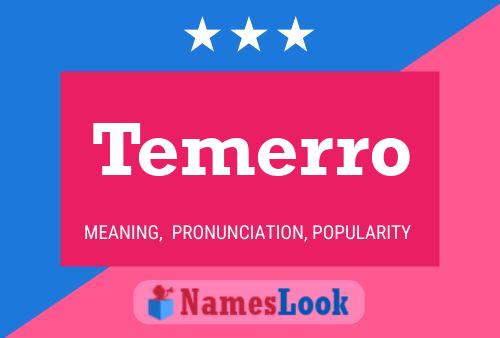 Постер имени Temerro