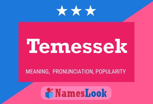 Постер имени Temessek