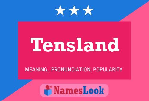 Постер имени Tensland