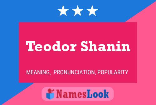 Постер имени Teodor Shanin