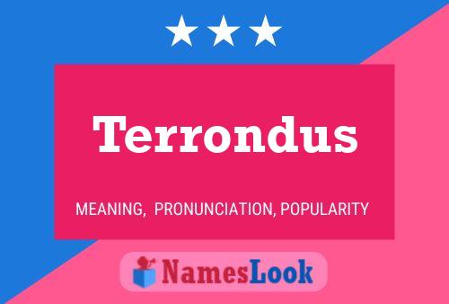 Постер имени Terrondus