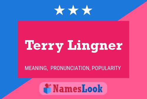 Постер имени Terry Lingner