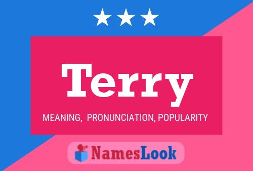 Постер имени Terry