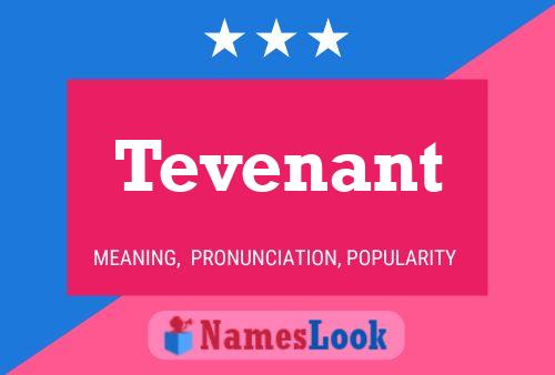 Постер имени Tevenant