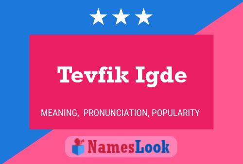 Постер имени Tevfik Igde