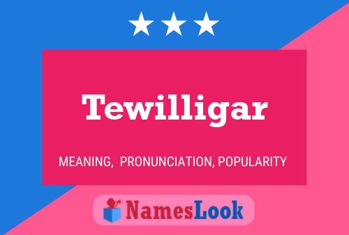 Постер имени Tewilligar