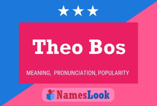 Постер имени Theo Bos