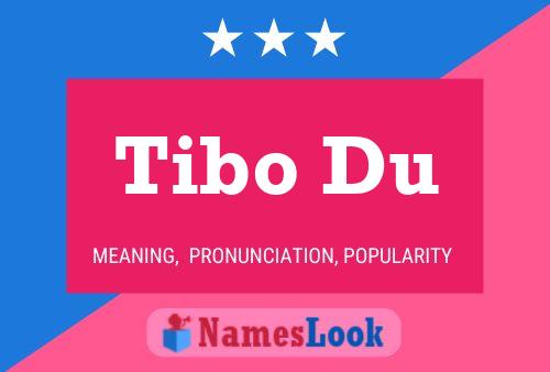 Постер имени Tibo Du