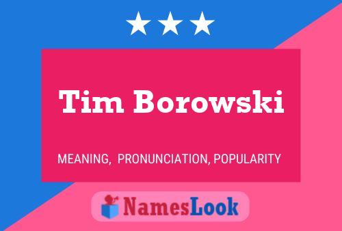 Постер имени Tim Borowski