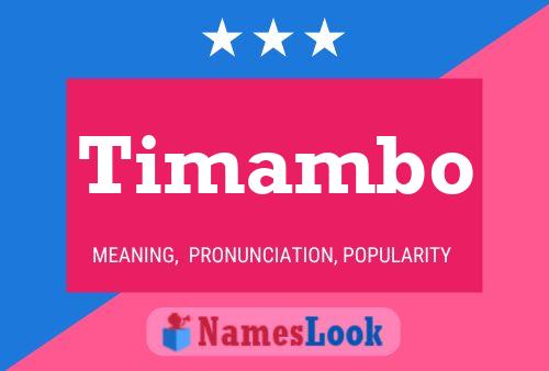 Постер имени Timambo