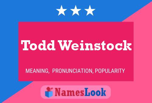 Постер имени Todd Weinstock