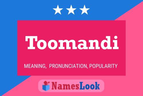 Постер имени Toomandi