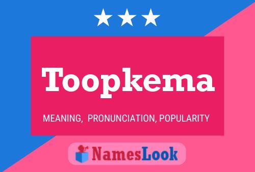 Постер имени Toopkema