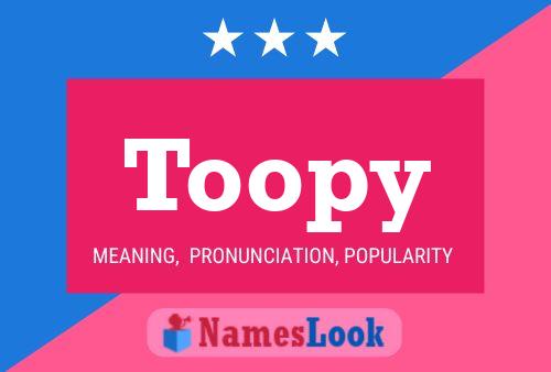 Постер имени Toopy