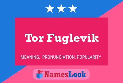 Постер имени Tor Fuglevik