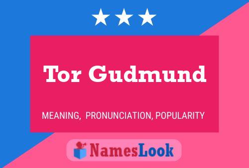 Постер имени Tor Gudmund