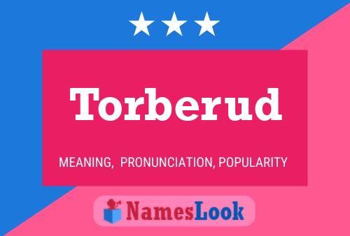 Постер имени Torberud