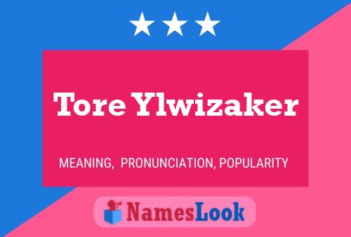 Постер имени Tore Ylwizaker