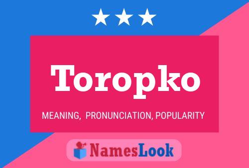 Постер имени Toropko