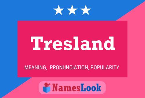 Постер имени Tresland