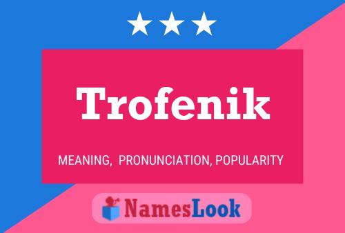 Постер имени Trofenik