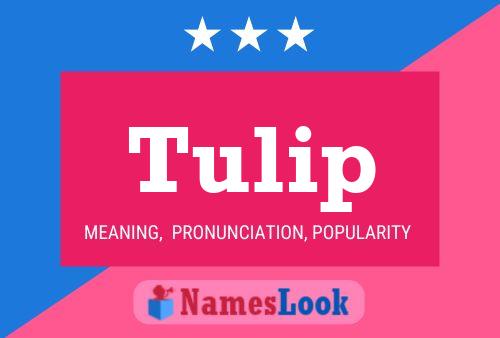 Постер имени Tulip