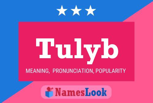 Постер имени Tulyb