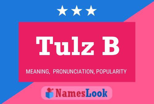 Постер имени Tulz B