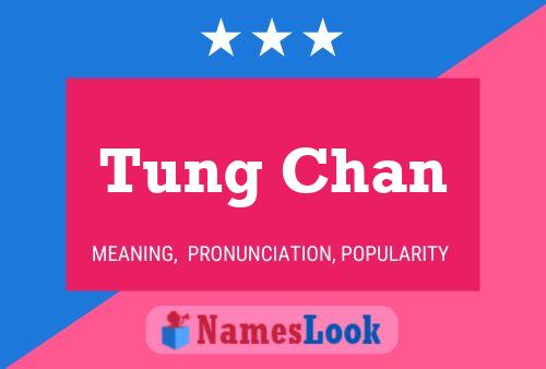 Постер имени Tung Chan