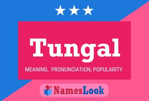 Постер имени Tungal