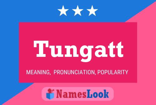 Постер имени Tungatt