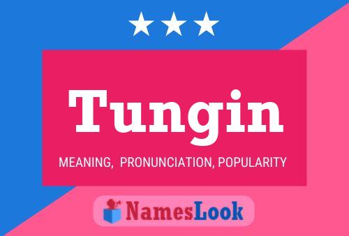 Постер имени Tungin