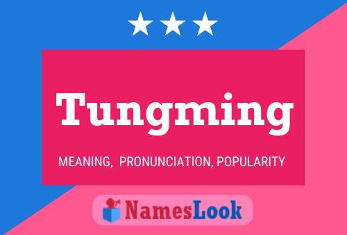 Постер имени Tungming