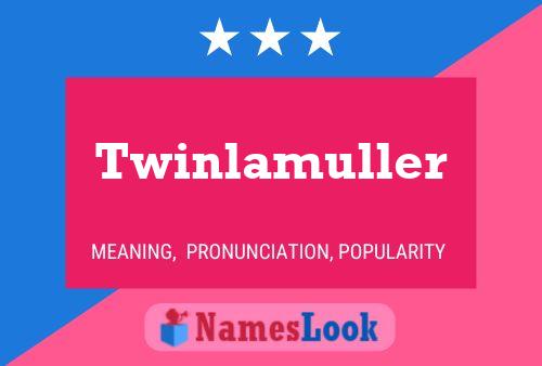 Постер имени Twinlamuller