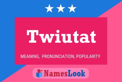 Постер имени Twiutat