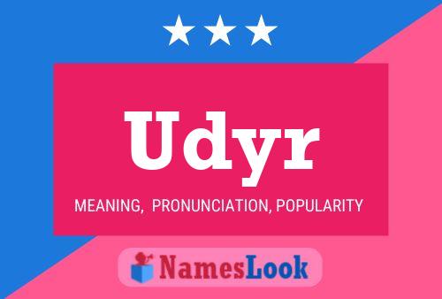 Постер имени Udyr