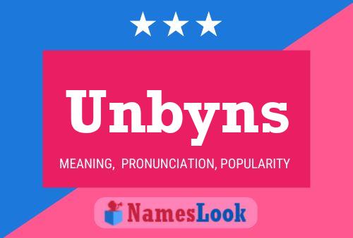 Постер имени Unbyns