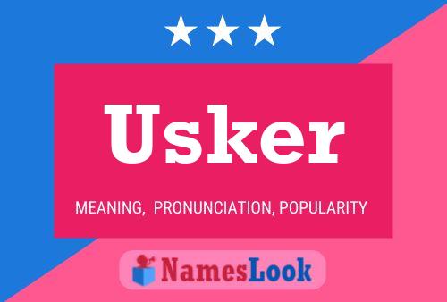 Постер имени Usker