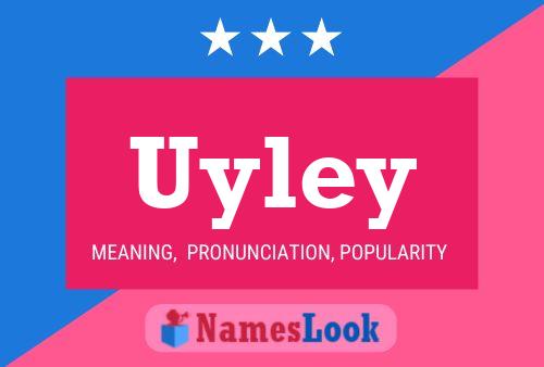 Постер имени Uyley