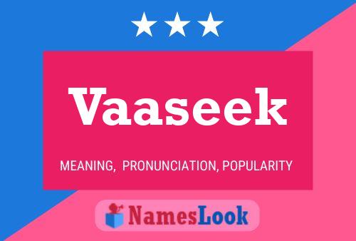 Постер имени Vaaseek